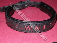 COLLAR
