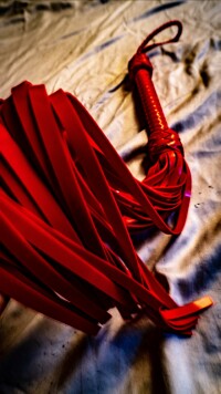 THE SILICONE MASTER FLOGGER