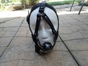 HEAD HARNESS