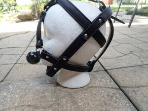 HEAD HARNESS