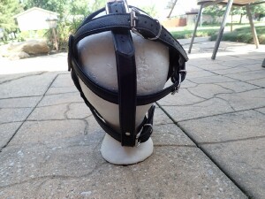 HEAD HARNESS