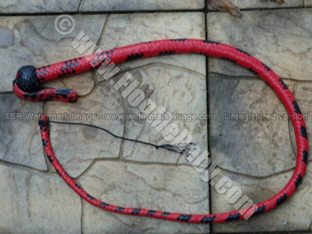SIGNAL WHIP