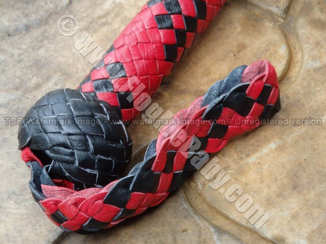 SIGNAL WHIP
