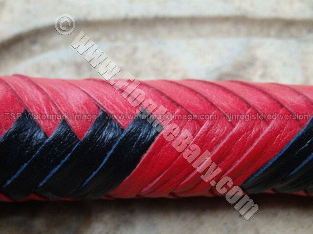 SIGNAL WHIP