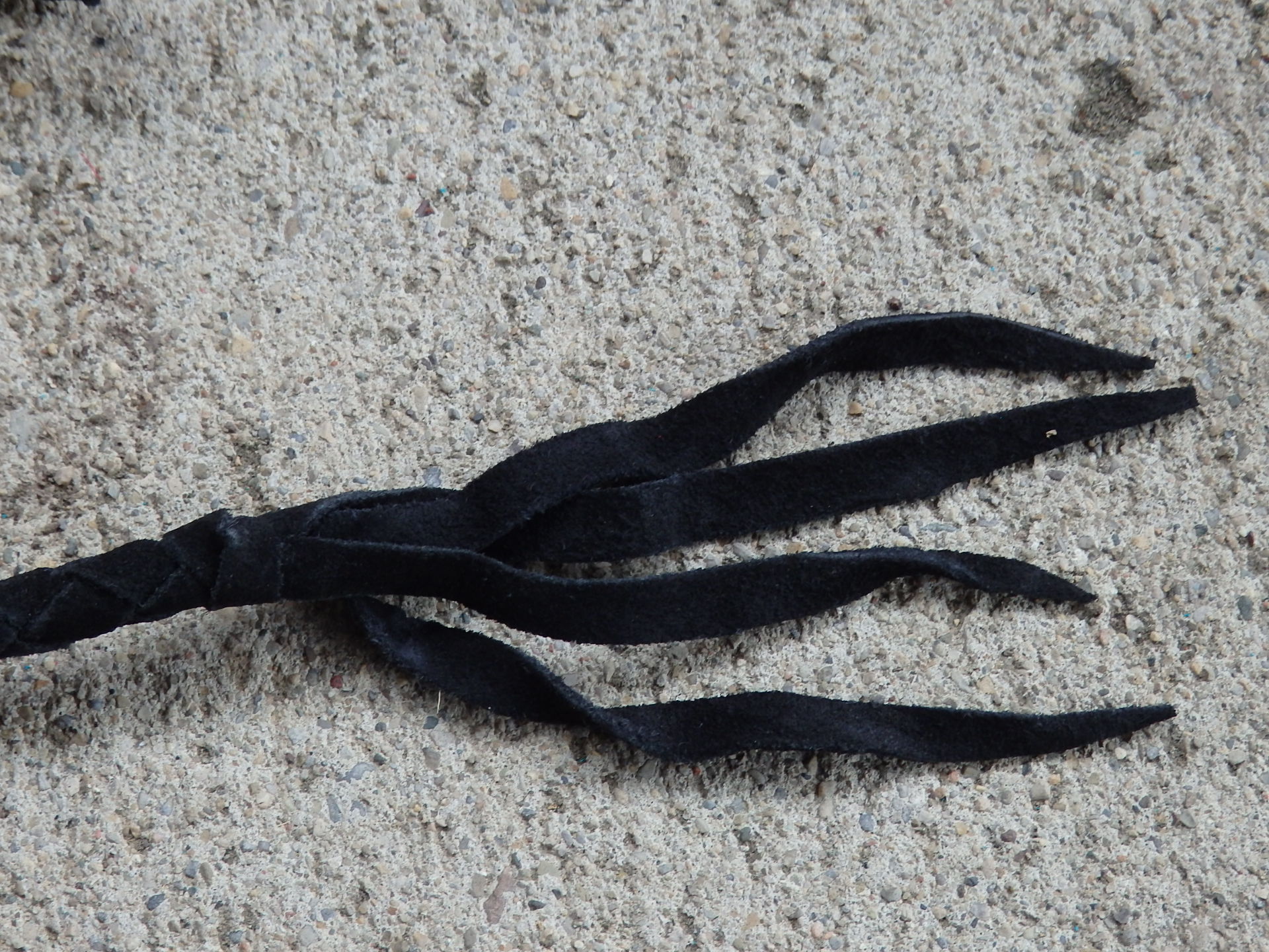 LONG WHIP