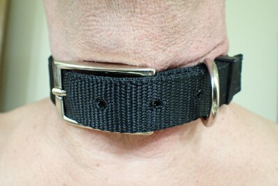 COLLAR