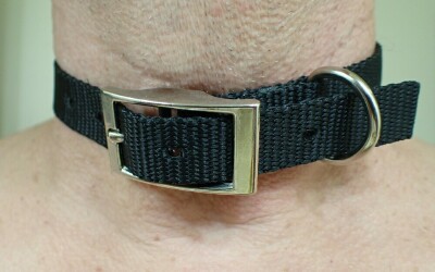 COLLAR