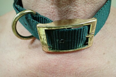 COLLAR